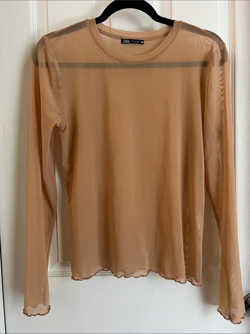 Zara Sheer Long-Sleeve Crew Neck Top in Tan